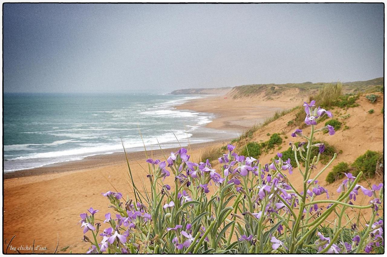 La Calypsette - Face Grande Plage Des Sables D'Olonne เลส์ซาบล์-โดล็อนน์ ภายนอก รูปภาพ